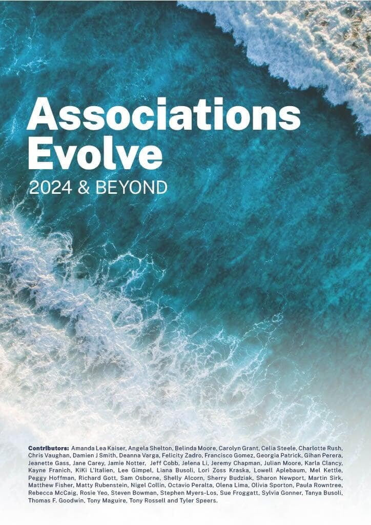 Front cover of Associations Evolve Journal 2023 & Beyond showing the shadow of a person standing on a mountain staring up at the night sky of stars and with the contributors names. 